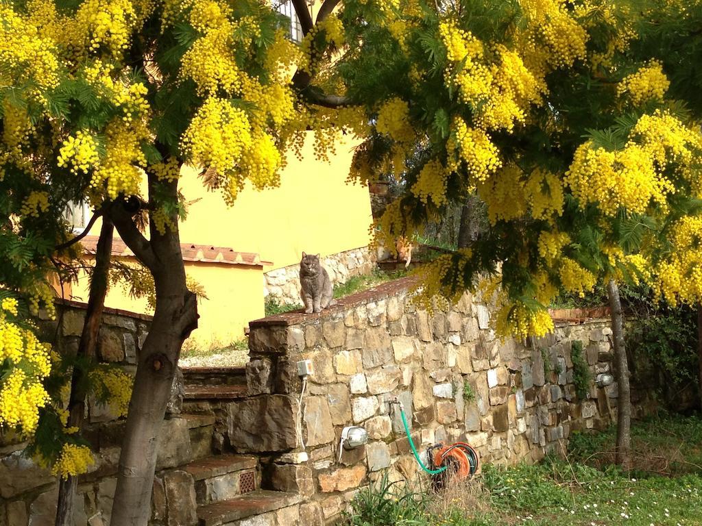 Villa Il Casalone Impruneta Exterior foto